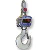 MSI-9300HT Porta-Weigh Plus CellScale RF MSI-9300HT
