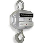 MSI 6260CS Crane Scales MSI 6260CS