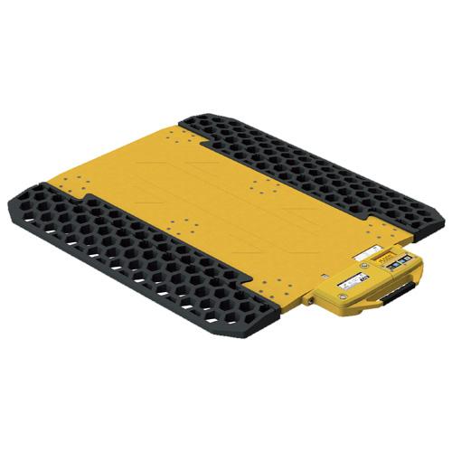 CAS RWT-705F Wireless Wheel Weighing Scale 10,000 x 5 lb