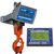 Intercomp CS1500RFX - 184508-RFX LCD Crane Scale w/Handheld RFX Indicator, 500 x 0.2 Ib