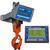 Intercomp CS1500RFX - 184510-RFX LCD Crane Scale w/Handheld RFX Indicator, 2000 x 1 Ib Intercomp CS1500RFX - 184
