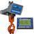Intercomp CS1500RFX - 184511-RFX LCD Crane Scale w/Handheld RFX Indicator, 5000 x 2 Ib Intercomp CS1500RFX - 184