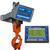 Intercomp CS1500RFX - 184511-RFX LCD Crane Scale w/Handheld RFX Indicator, 5000 x 2 Ib