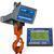 Intercomp CS1500RFX - 184512-RFX LCD Crane Scale w/Handheld RFX Indicator, 10000 x 5 Ib