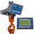 Intercomp CS1500RFX - 184513-RFX LCD Crane Scale w/Handheld RFX Indicator, 20000 x 10 Ib Intercomp CS1500RFX - 184