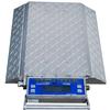 Intercomp 181508 - PT300DW (Double Wide) Wheel Load Scales with Solar Panels, 20000 x 10 lb