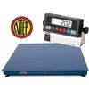 Prime Scales GIE Series Legal for Trade Floor Scales
