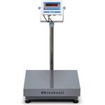 Salter Brecknell 3800LP-300 Legal for Trade Bench Scale 300 x 0.1 lb Salter Brecknell 3800LP-3
