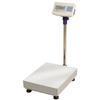 CCi SB731-300R  - Bench / Floor Scale, 660 x  0.05lb