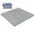 Cambridge 660242425kS MODEL SS660-OB Low Profile 24x24x3 Stainless Steel Floor Scale 2500 x 0.2 lb