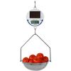 Hanging Retail Scales