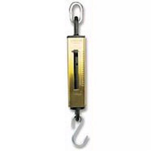 Chatillon 130 (IC-100) Iron Clad Scale, 100 lb x 1 lb