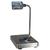 Fairbanks 25833 Series II Legal for Trade General Purpose Scale 300 x 0.1 lb Fairbanks 25833 Series II