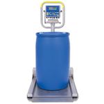 Fairbanks 97673 Aegis Transport Scale Stainless Steel with FB2250SS 2500 x 0.5 lb