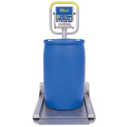 Fairbanks 97673 Aegis Transport Scale Stainless Steel with FB2250SS 2500 x 0.5 lb