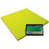 Fairbanks 93787 Yellow Jacket Legal For Trade Floor Scale With FB1100 5000 x 1 lb Fairbanks 93787 Yellow Ja