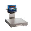 Fairbanks 93803 Quicksilver Legal for Trade 10 x 10 in Food Service Scale 10 x 0.002 lb Fairbanks 93803 Quicksilv