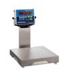 Fairbanks 93806 QuickSilver Legal for Trade 12 x 12 in Food Service Scale 50 x 0.01 lb Fairbanks 93806 QuickSilv