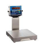 Fairbanks 93806 QuickSilver Legal for Trade 12 x 12 in Food Service Scale 50 x 0.01 lb