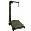 Chatillon HB-1000BM Industrial Beam Scale, 500 kg 0.25 kg