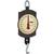 Chatillon BD-200 Mechanical Hanging Scale, 200 lb x 1/2 lb