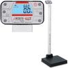 Detecto APEX-WI-AC Physician Scale With Mechanical Height Rod AC adapter and Wi-Fi  Legal For Trade 600 x 0.1 lb
