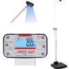 Detecto APEX-SH Physician Scale With Sonar Height Rod 600 x 0.2 lb