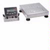 Ohaus CQ100-L11W Champ SQ Bench Scale, Washdown, 250 lb x 0.02 lb