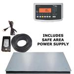 Minebea Combics 2 Safe Area Explosion Proof Scale 24 x 24in, 150 x 0.005 lb