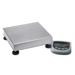 Champ General Purpose Bench Scale