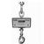 Chatillon DWT-01000 Digital Crane Scale, 1000 lb x 0.5 lb