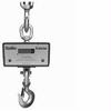 Chatillon DWT-05000 Digital Crane Scale, 5000 lb x 2 lb
