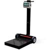 Rice Lake 169708-482-Plus Deckhand Rough-n-Ready Portable Bench Scale Legal For Trade 2000 x 1 lb Rice Lake 169708-482-Plus