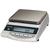 Rice Lake TP-4200NT Tuning Fork Precision Balance Legal For Trade 4200 x 0.01 g Rice Lake TP-4200NT Tunin