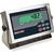  Rice Lake 482 LCD Legend Series Digital Weight Indicator