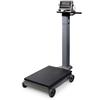 Rice Lake RL1200 EM PLUS Electromechanical NTEP Portable Beam Scale - 1000 lb x 0.5 lb