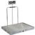 Detecto SOLACE Series ID-3636SH-855RMP 3 x 3 ft In-Floor Dialysis Scale with Handrail 1000 x 0.2 lb