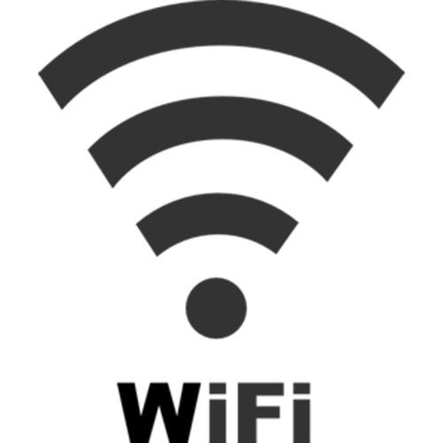 Rice Lake 108671 Wireless LAN card Wi-Fi 802.11 A/B for CW-90 and CW90X