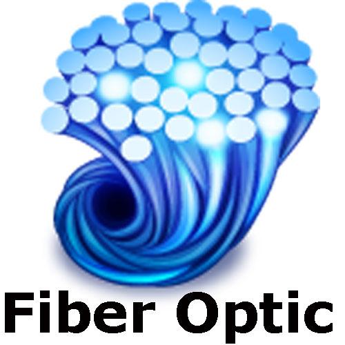 Rice Lake 78026 Fiber optic, duplex cable 100 ft for 320IS, CW-90 and CW90X, 882IS