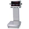 Rice Lake IQplus-2100 Rice Lake IQplus-2100