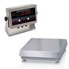 Rice Lake IQ plus® 2100SL 65168 Legal for Trade 10 x 10 inch Bench Scale with Tilt Stand 5 lb x 0.001 lb