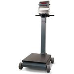 Rice Lake RL1200 IS Intrinsically Safe Electromechanical Portable Beam Scale - 1000 lb x 0.5 lb Rice Lake RL1200 IS Intri