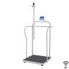 Doran DS7060-HRWiFi Medical EMR Ready Handrail Scale with Height Rod and Wifi 800 x 0.5 lb Doran DS7060-HRWiFi Medic