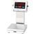 Doran 7025XL-C14  Legal For Trade Bench Scale with 10 x 10 inch Base and 14 inch Column 25 x 0.005 lb