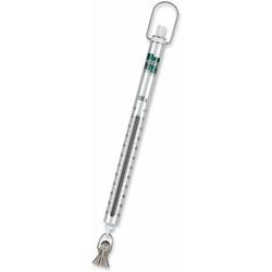 Pesola 20100 Micro-Line Spring Scale 100g x 1g