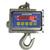 Cambridge SSCSW-10AT-CS-500  Stainless Steel Legal for Trade Crane Scale 500 x 0.1 lb