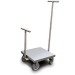 Rice Lake 180034 Class 6 ASTM Clean Room Weight Cart 500 kg