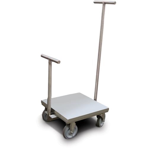 Rice Lake 180034WITHTC with Accredited Certificate  Class 6 ASTM Clean Room Weight Cart 500 kg