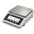 Rice Lake TE-6202 Tuning Fork Enhanced Precision Balance 6200 g x 0.01 g