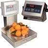 Pennsylvania Scale 6275-25 Legal for Trade 12 x 14 in Counting Bench Scale 25 x 0.005 lb Pennsylvania Scale 6275-2